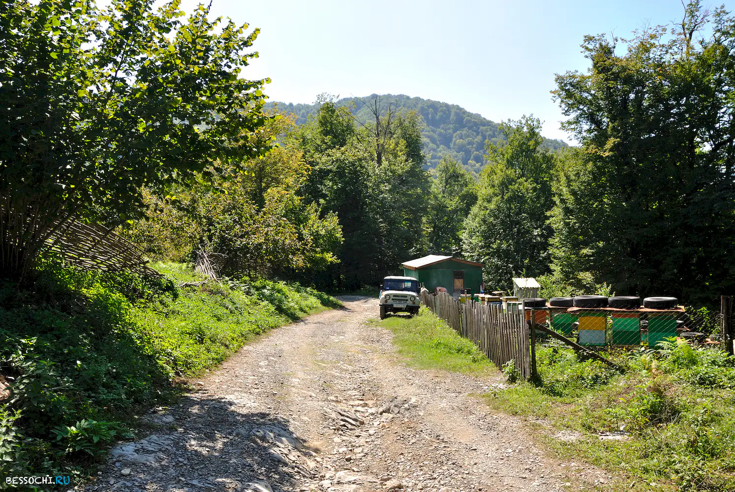 Самшитовый водопад