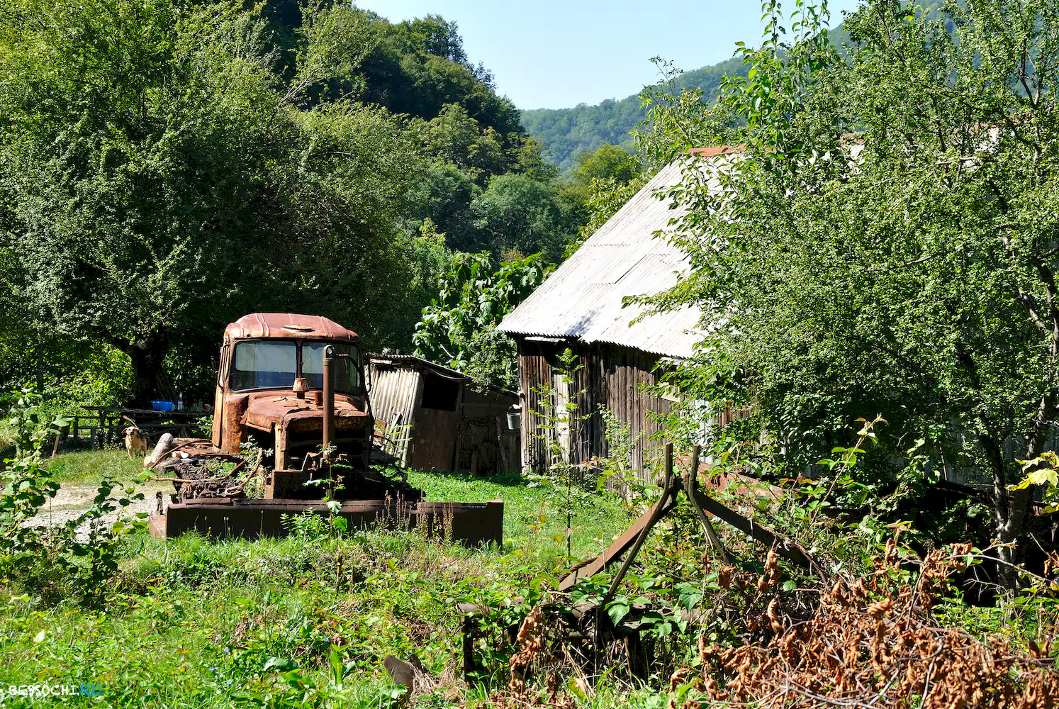 Самшитовый водопад