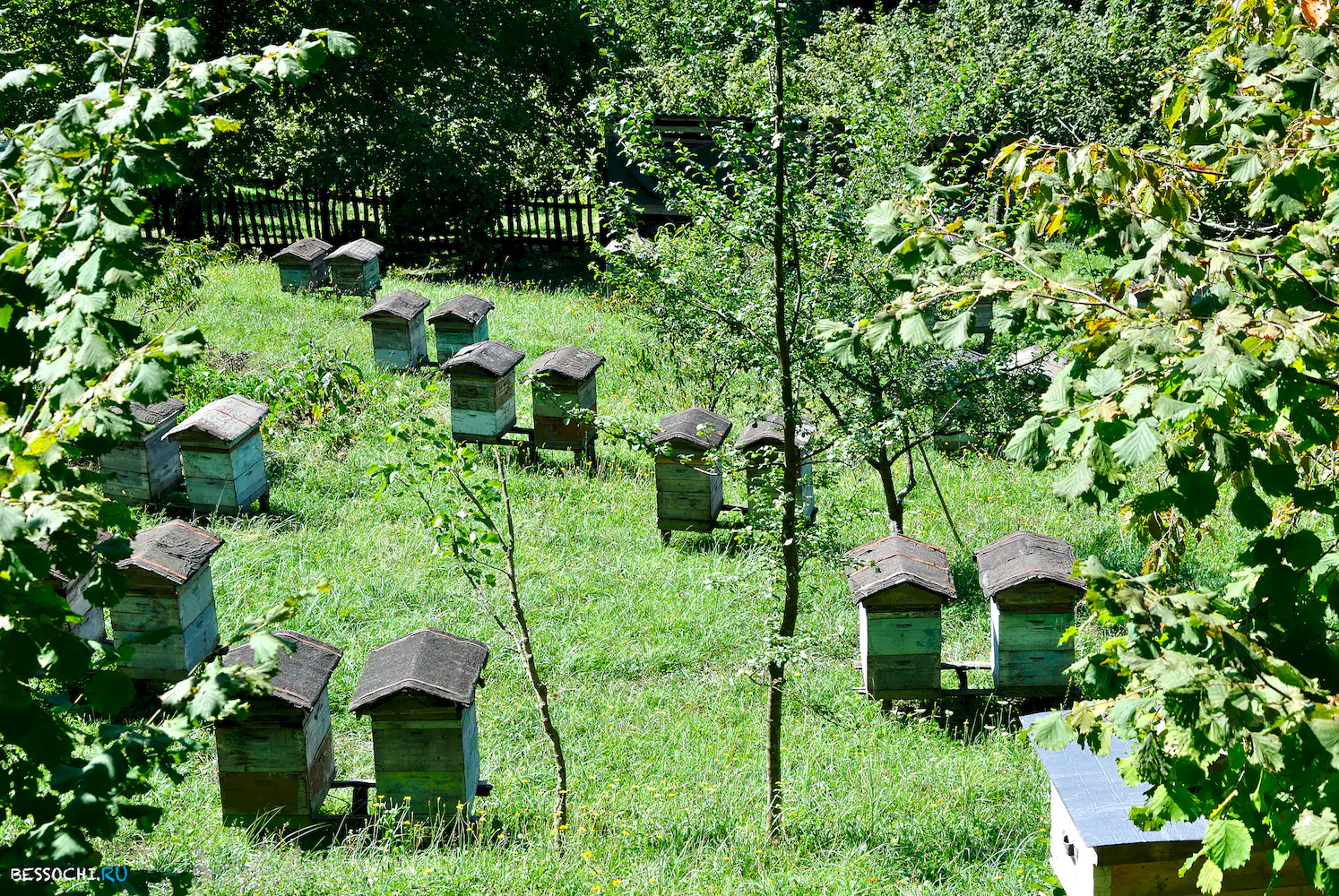 Самшитовый водопад