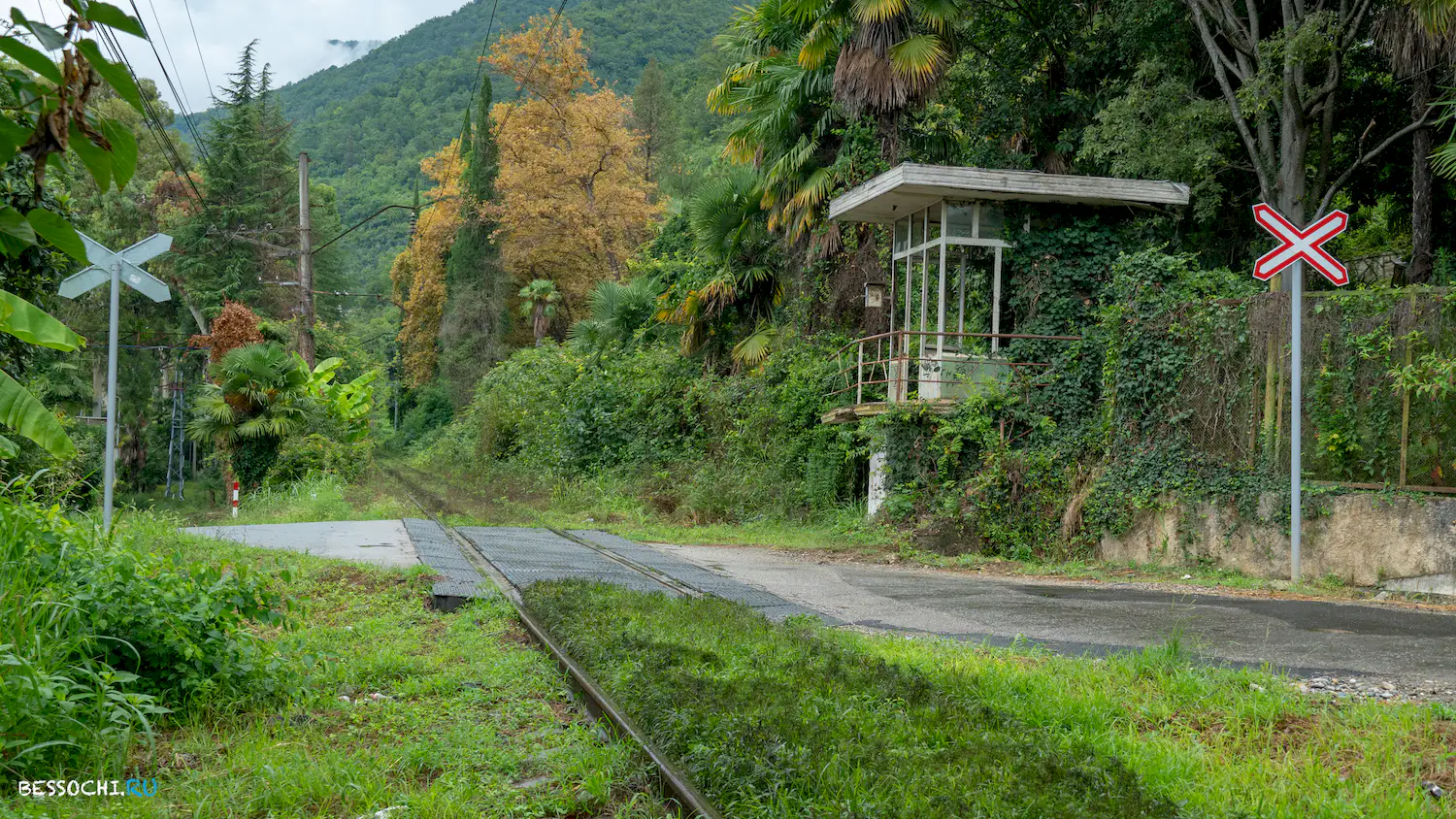 поезд Адлер-Гагра