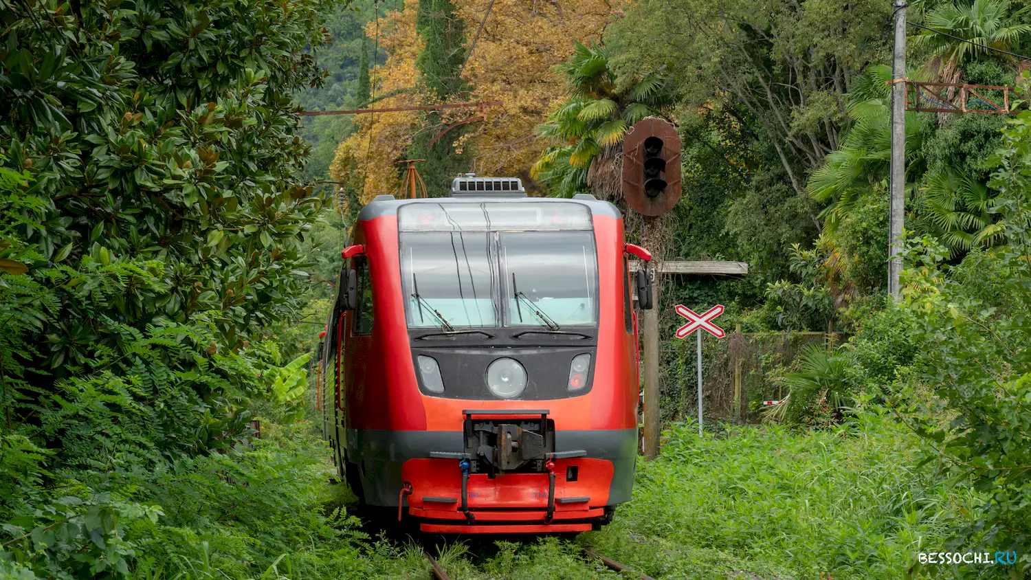 поезд Адлер-Гагра
