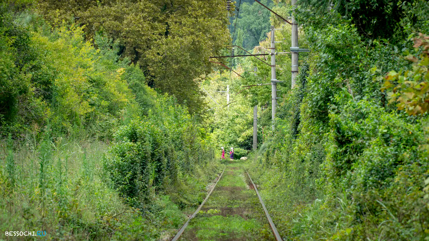 поезд Адлер-Гагра