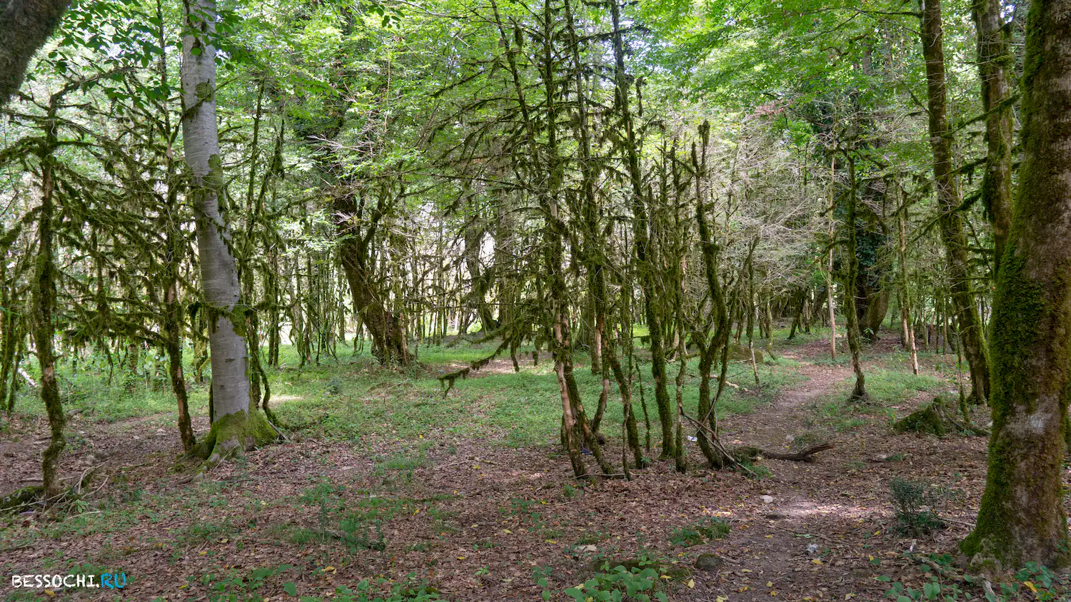 река Кудепста