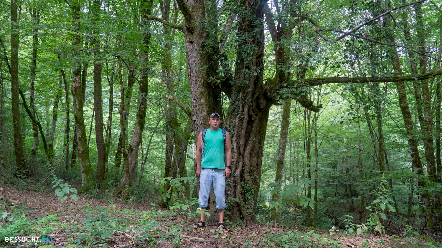 Грушевая поляна