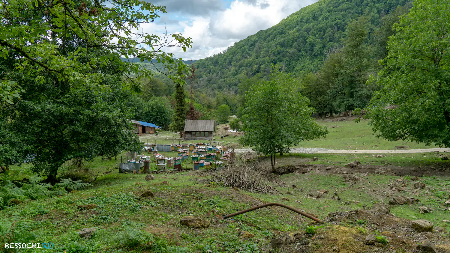Семеновка