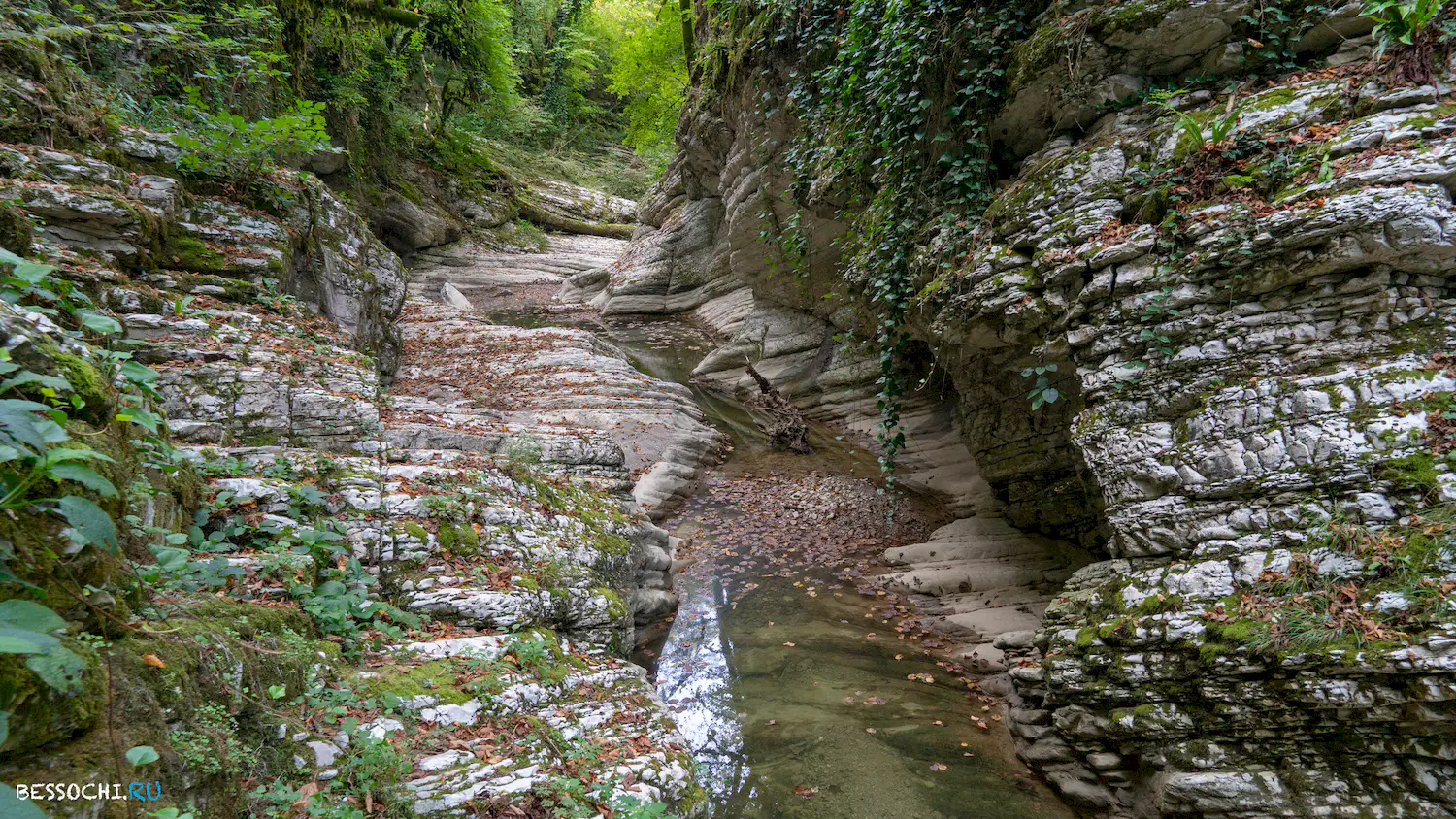 Кудепстинский каньон