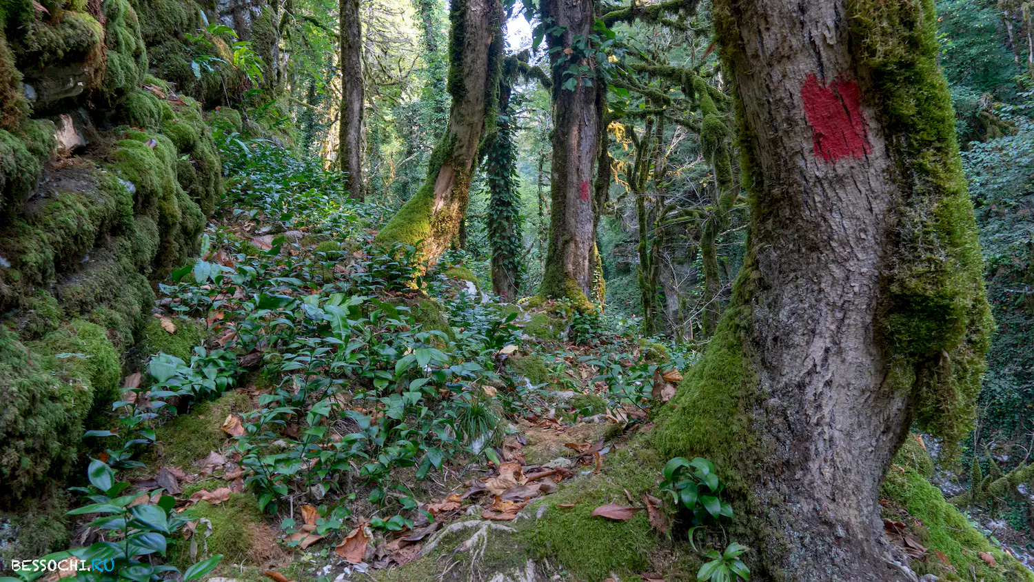 Кудепстинский каньон