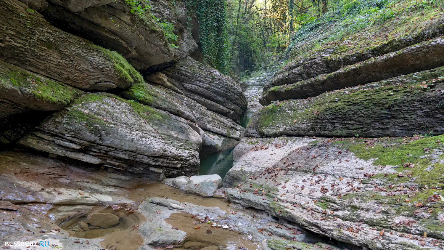 Кудепстинский каньон