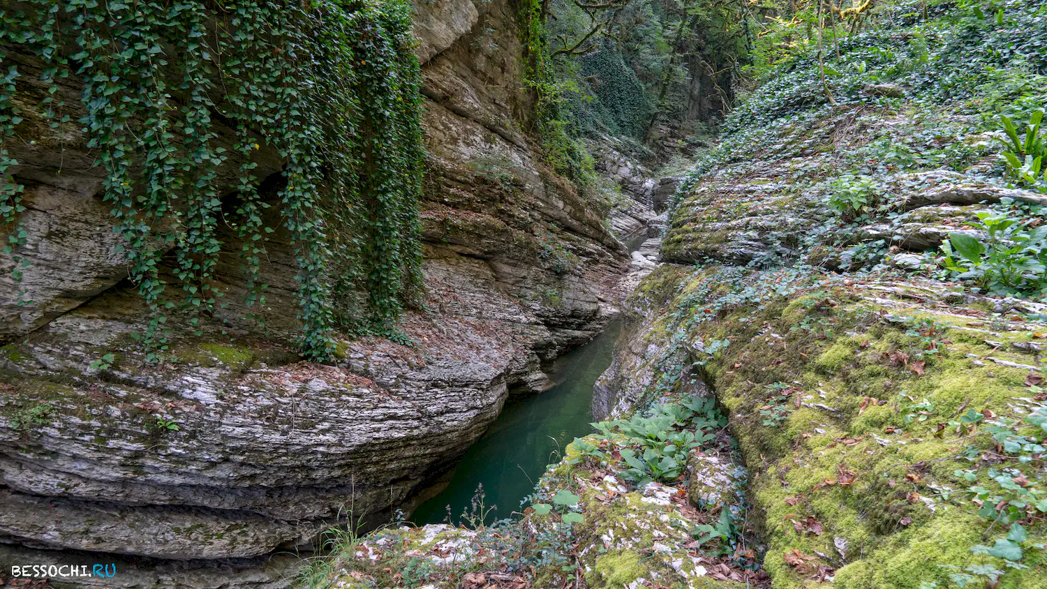 Кудепстинский каньон