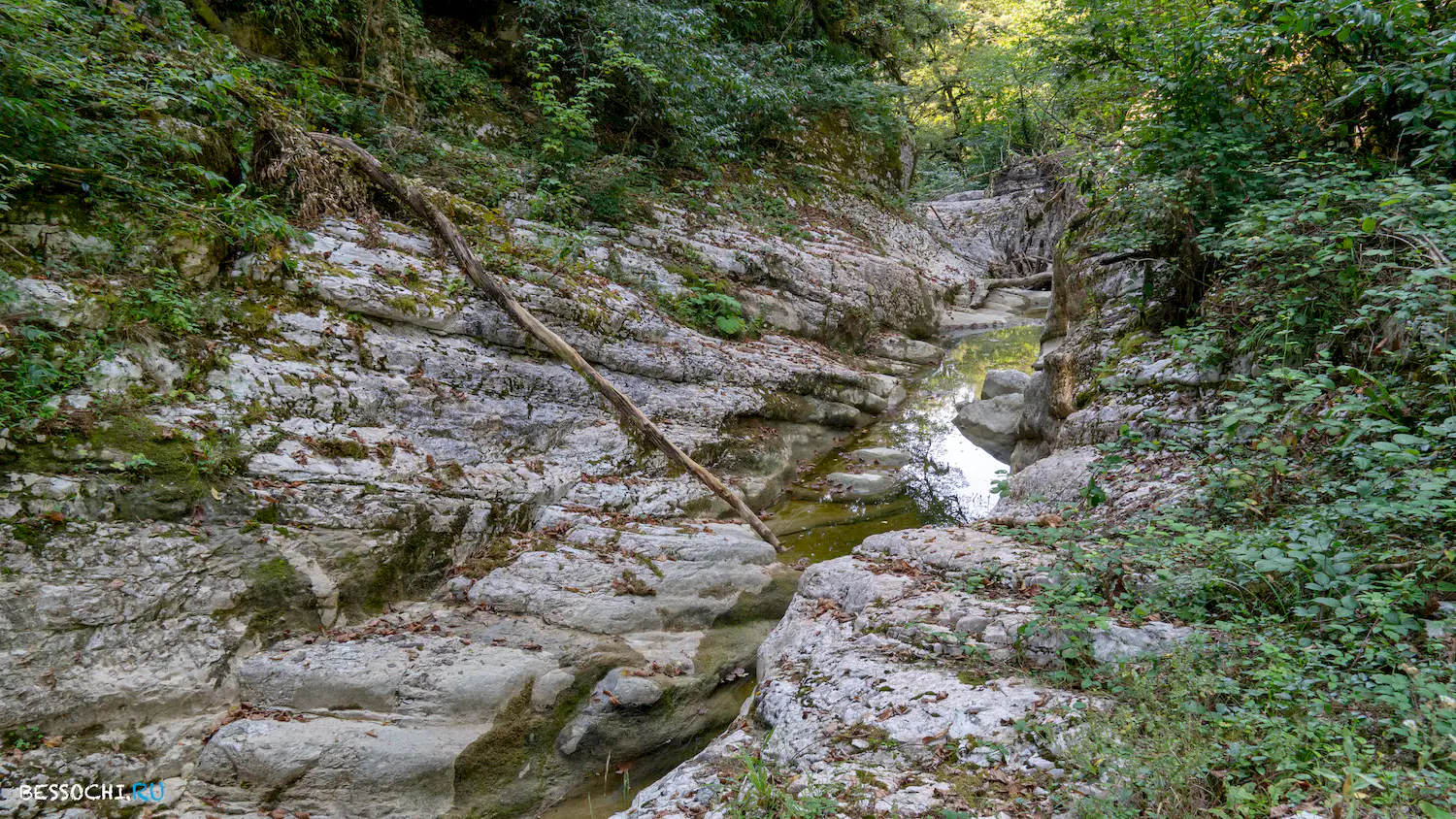 Кудепстинский каньон