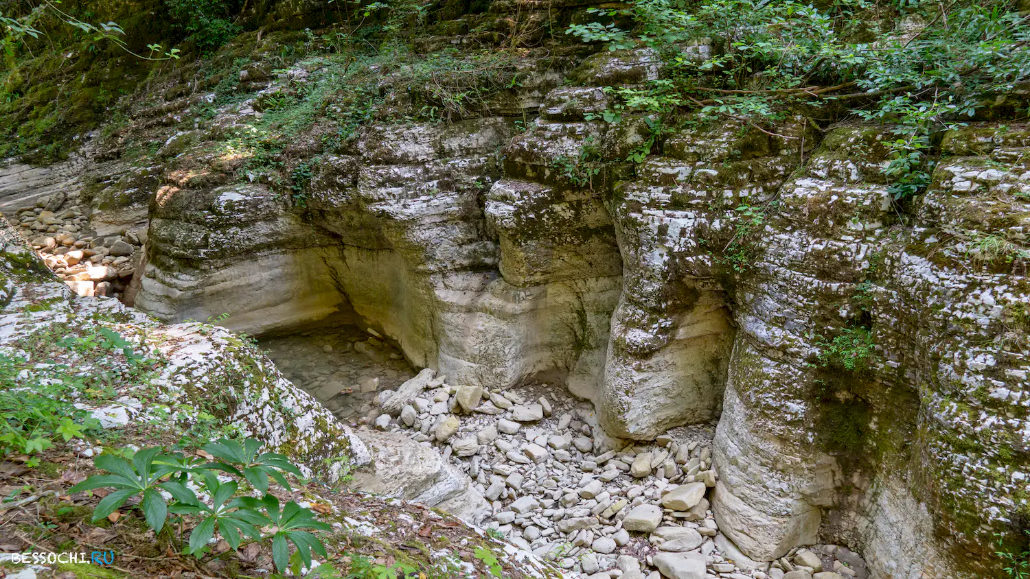 Кудепстинский каньон
