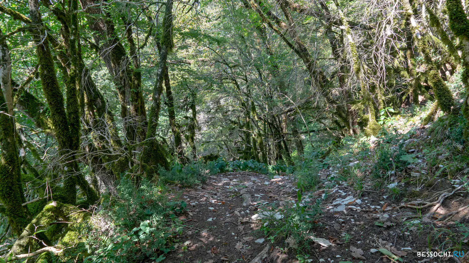 Кудепстинский каньон