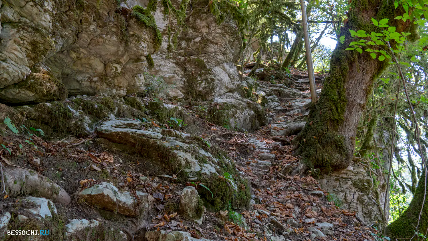 Кудепстинский каньон