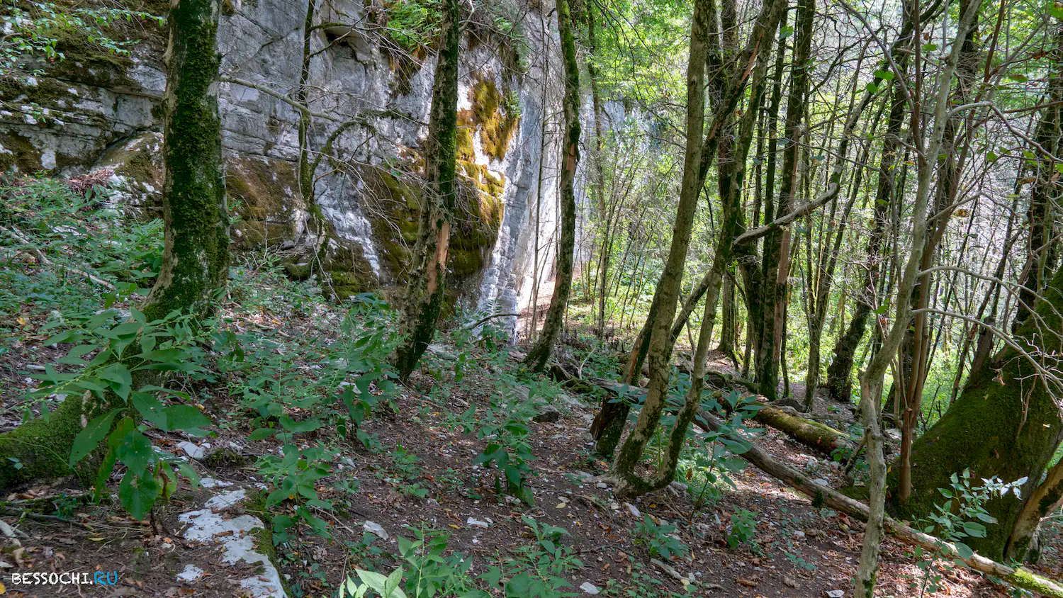 Пещера Колокольная