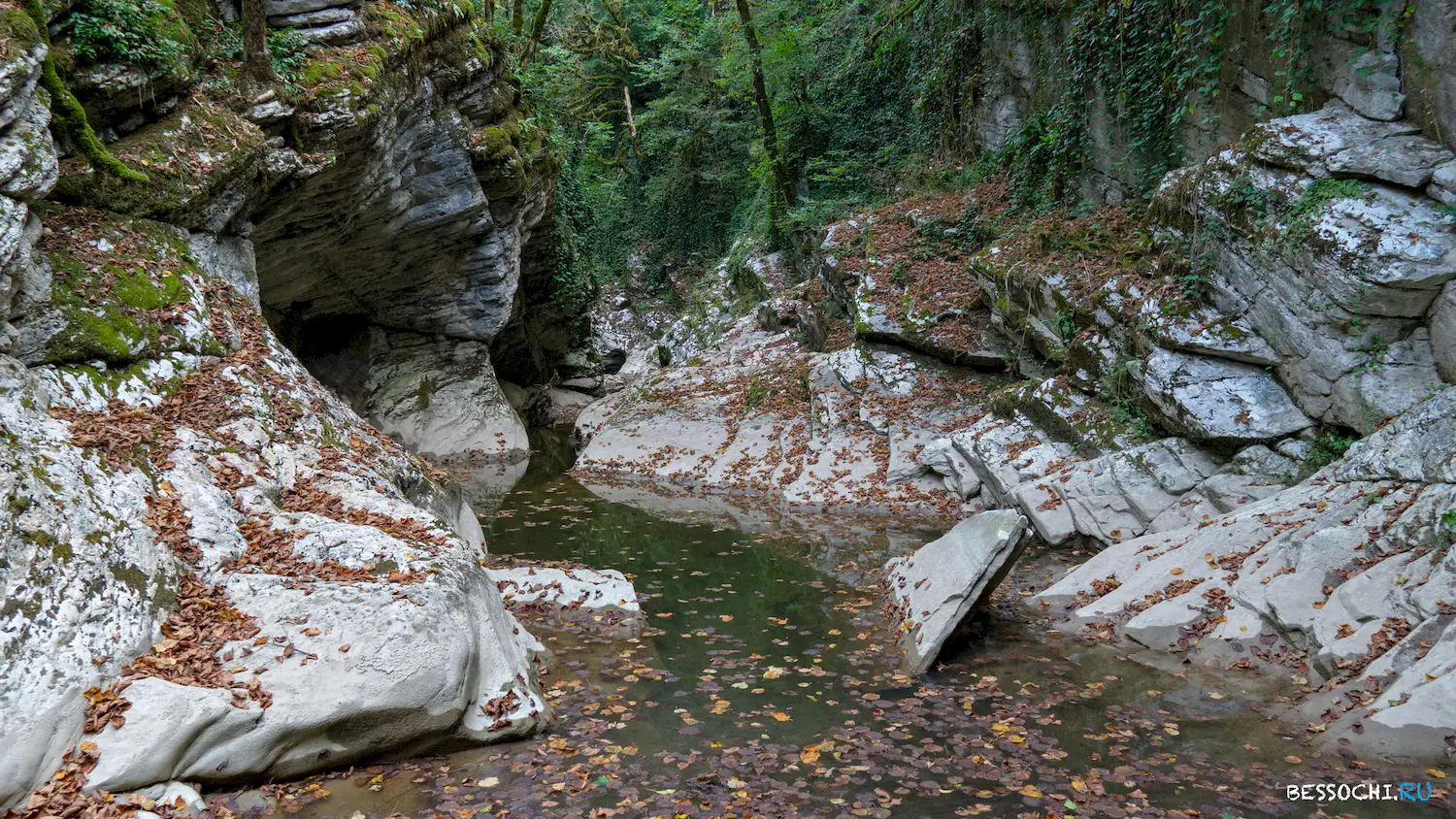 Кудепстинский каньон
