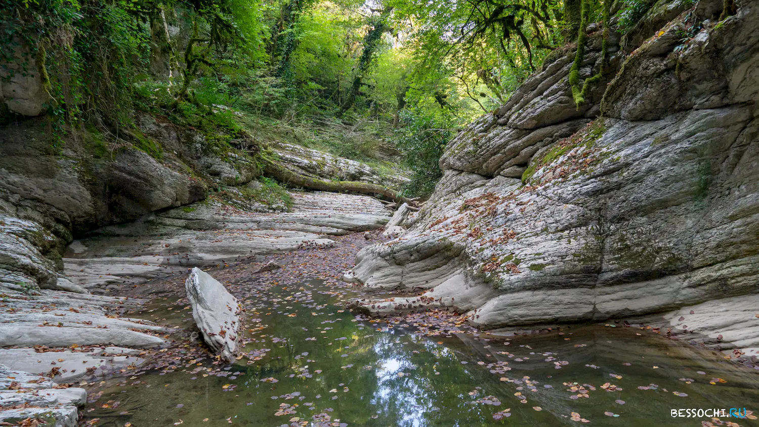 Кудепстинский каньон