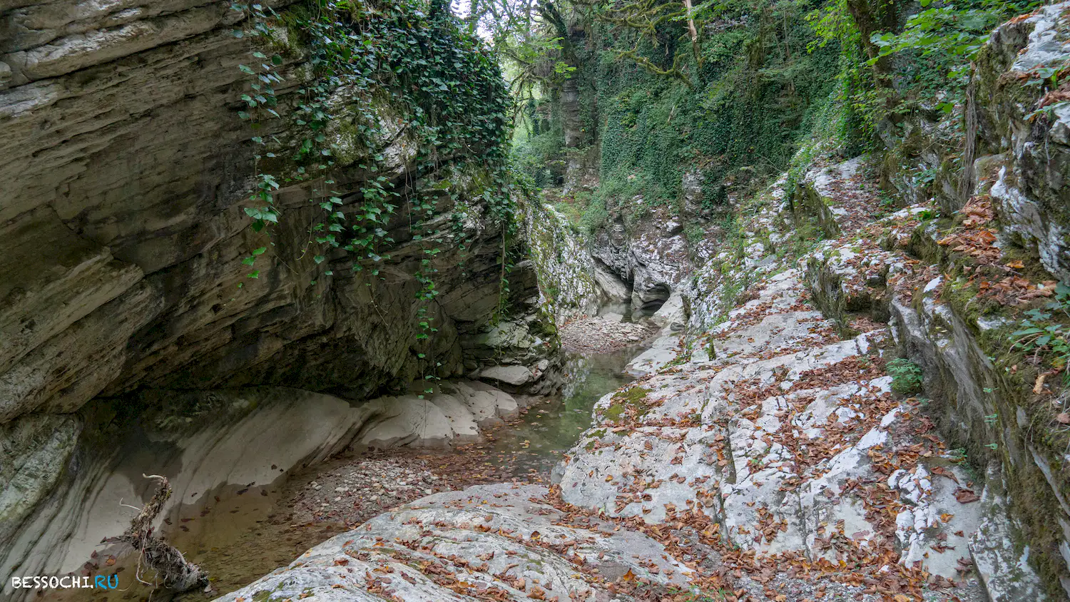 Кудепстинский каньон