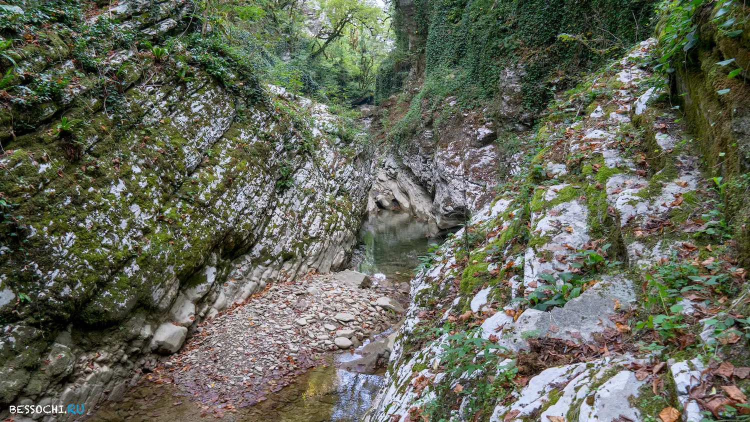 Кудепстинский каньон