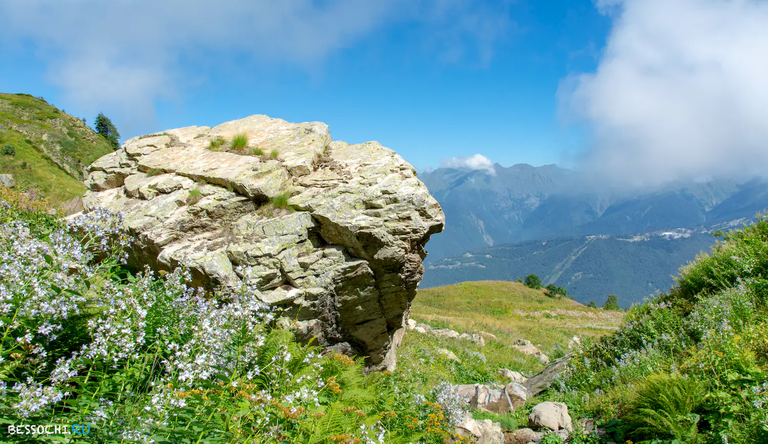 Медвежий водопад