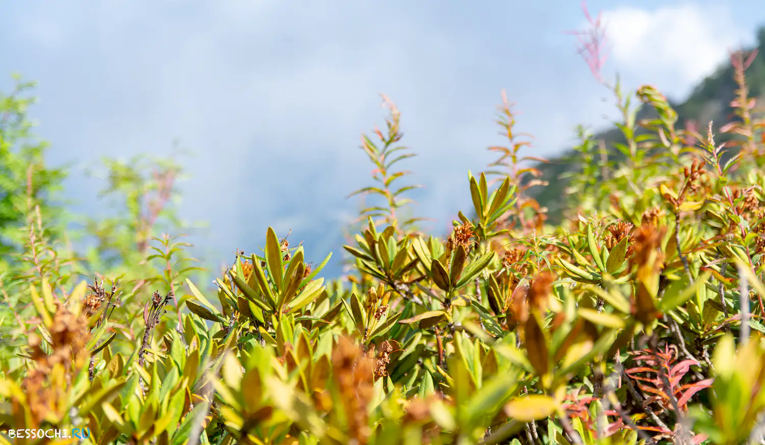 Черная пирамида