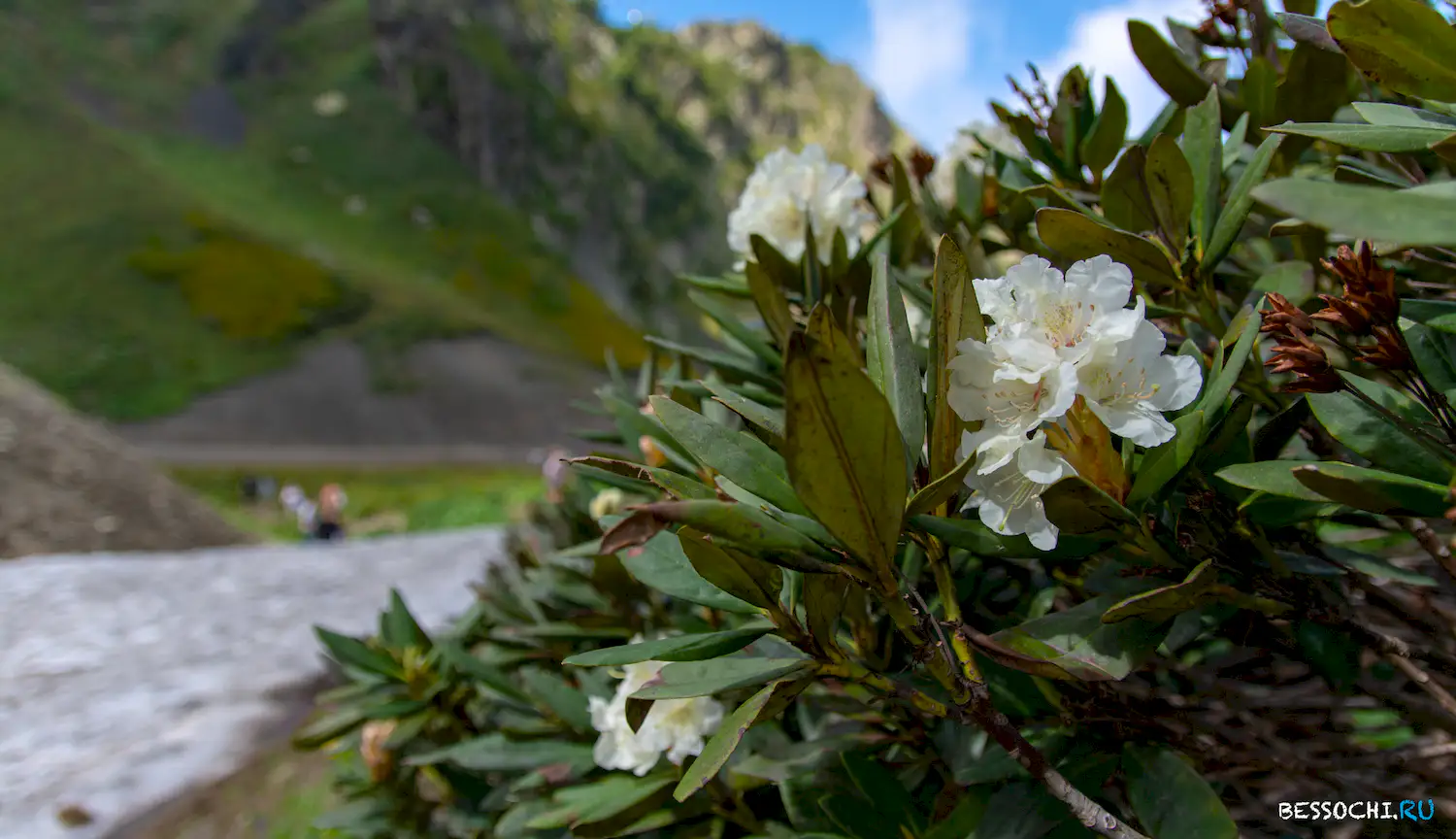 Черная пирамида