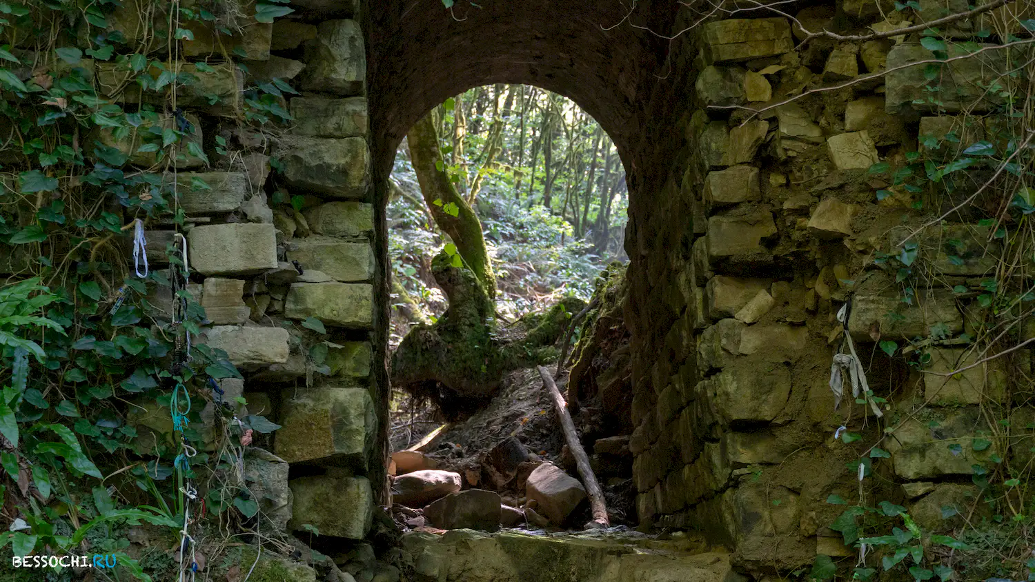 Мосты в Красной воле