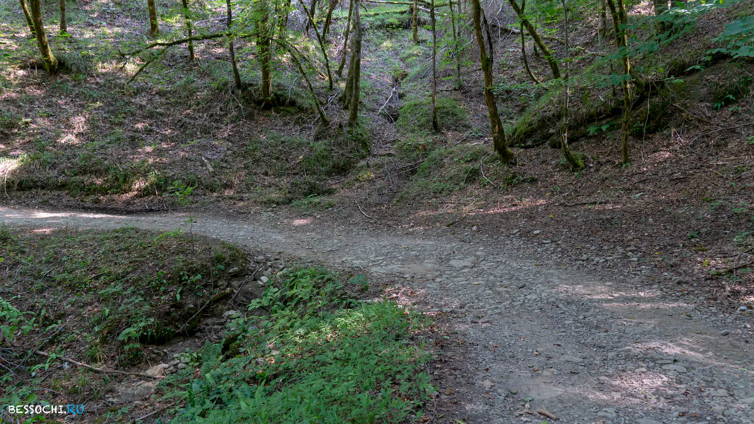 Мосты в Красной воле