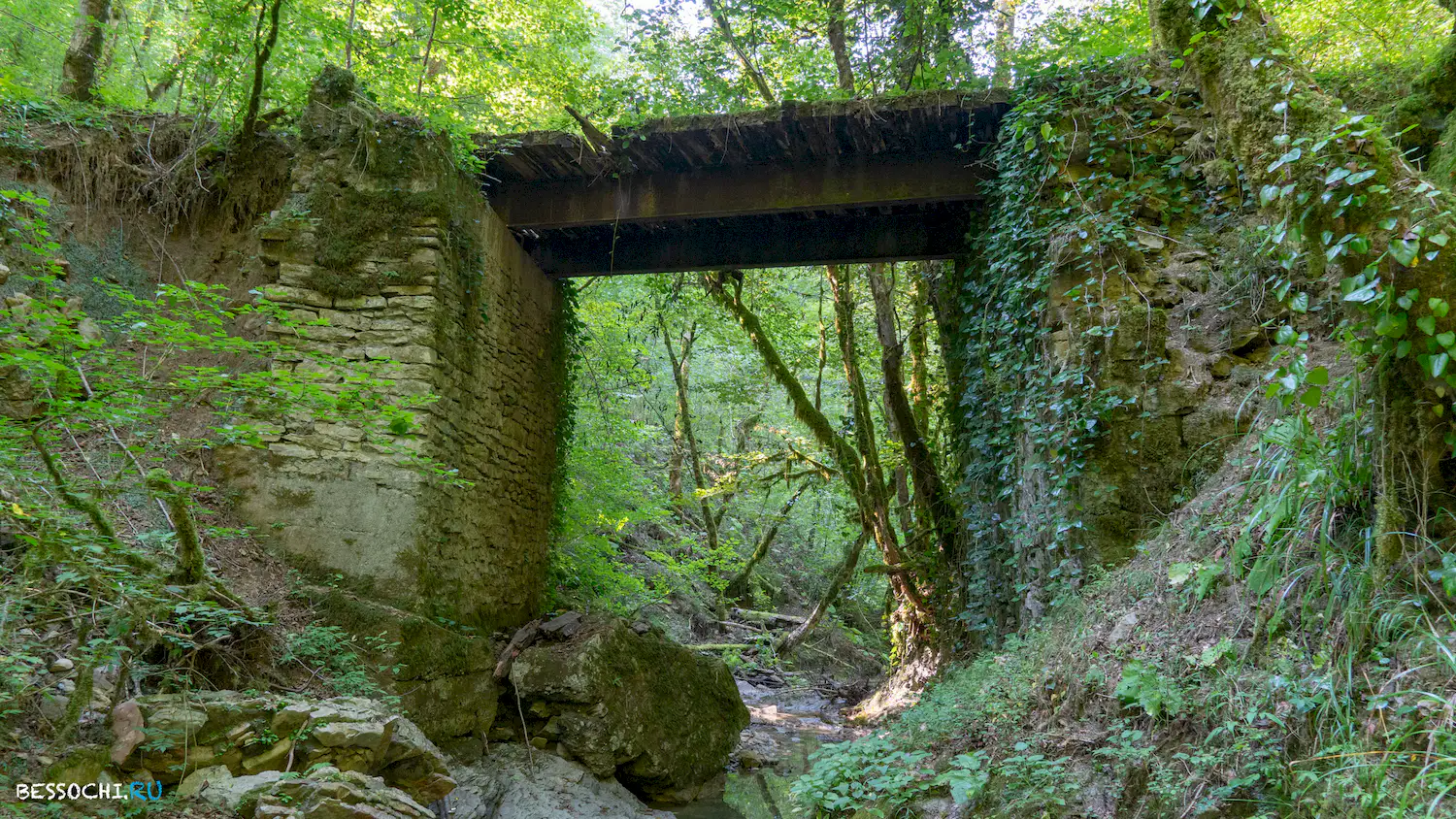 Мосты в Красной воле