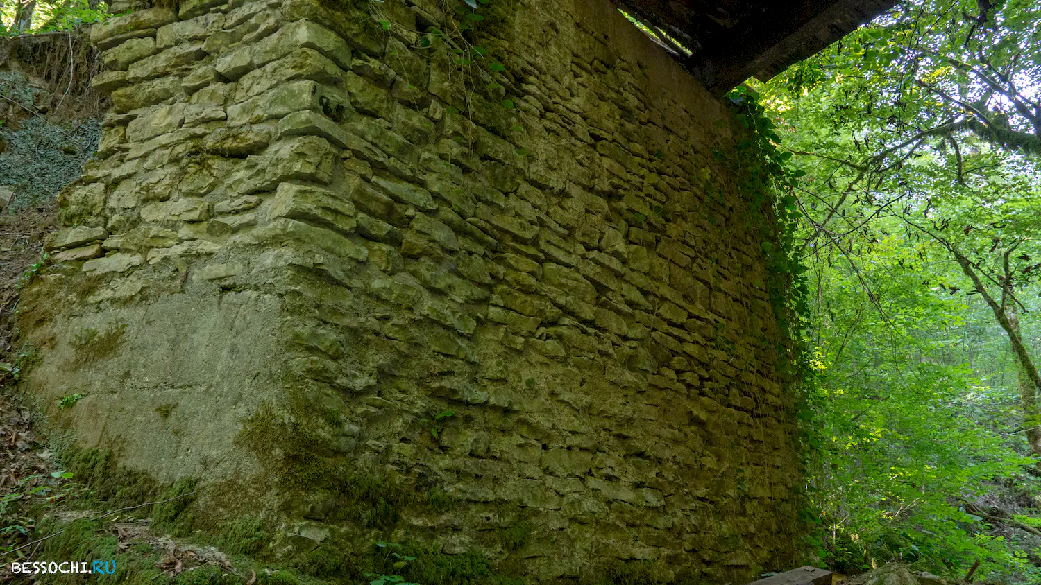 Мосты в Красной воле