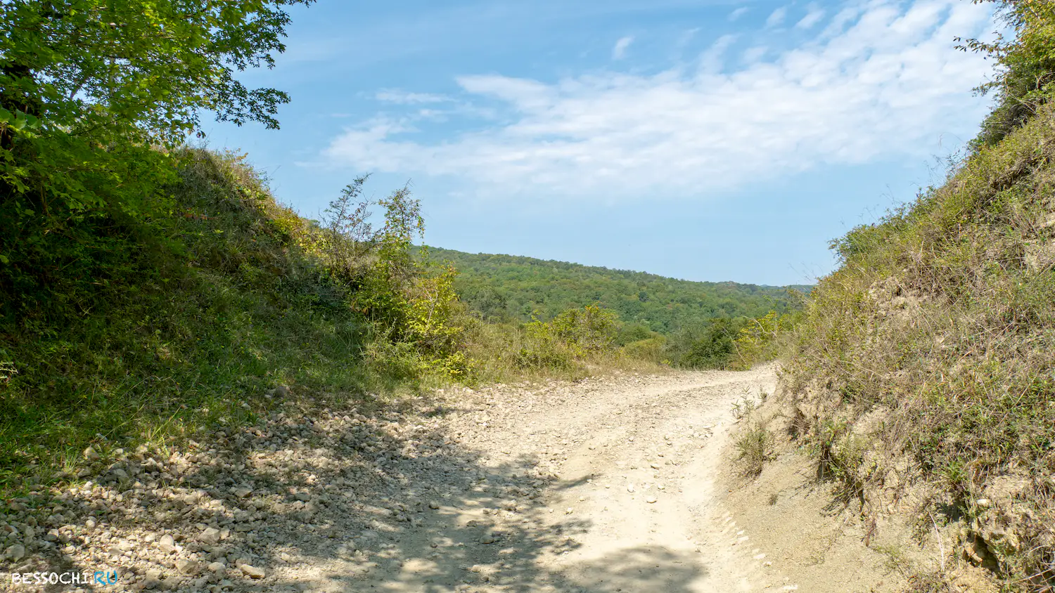 Мосты в Красной воле
