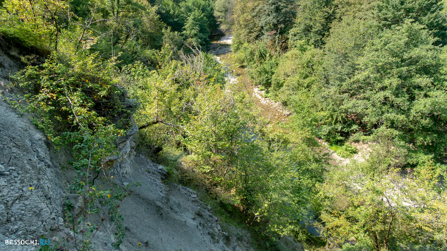 Мосты в Красной воле