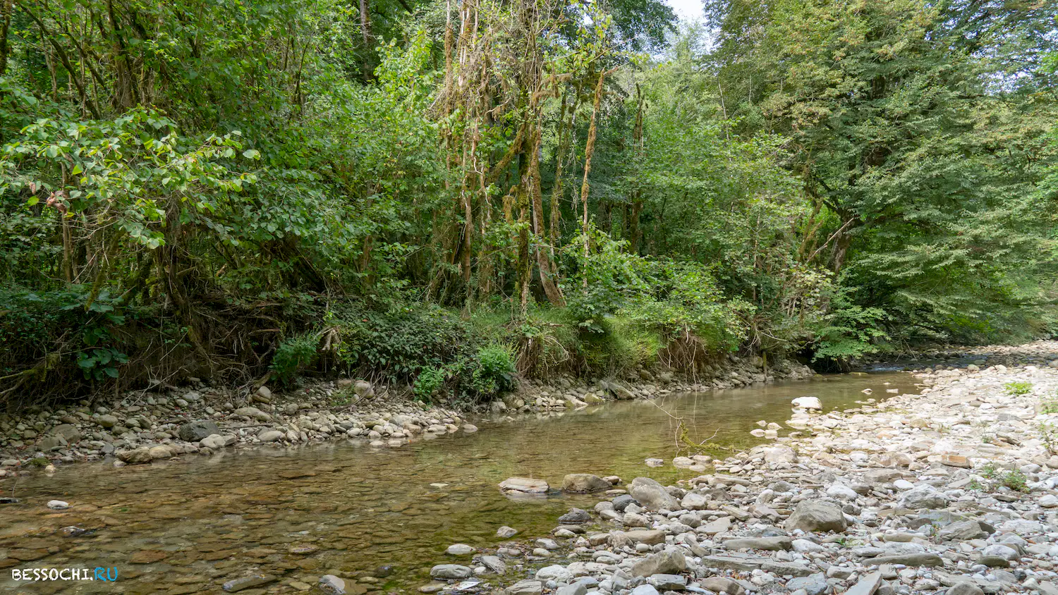 Мосты в Красной воле
