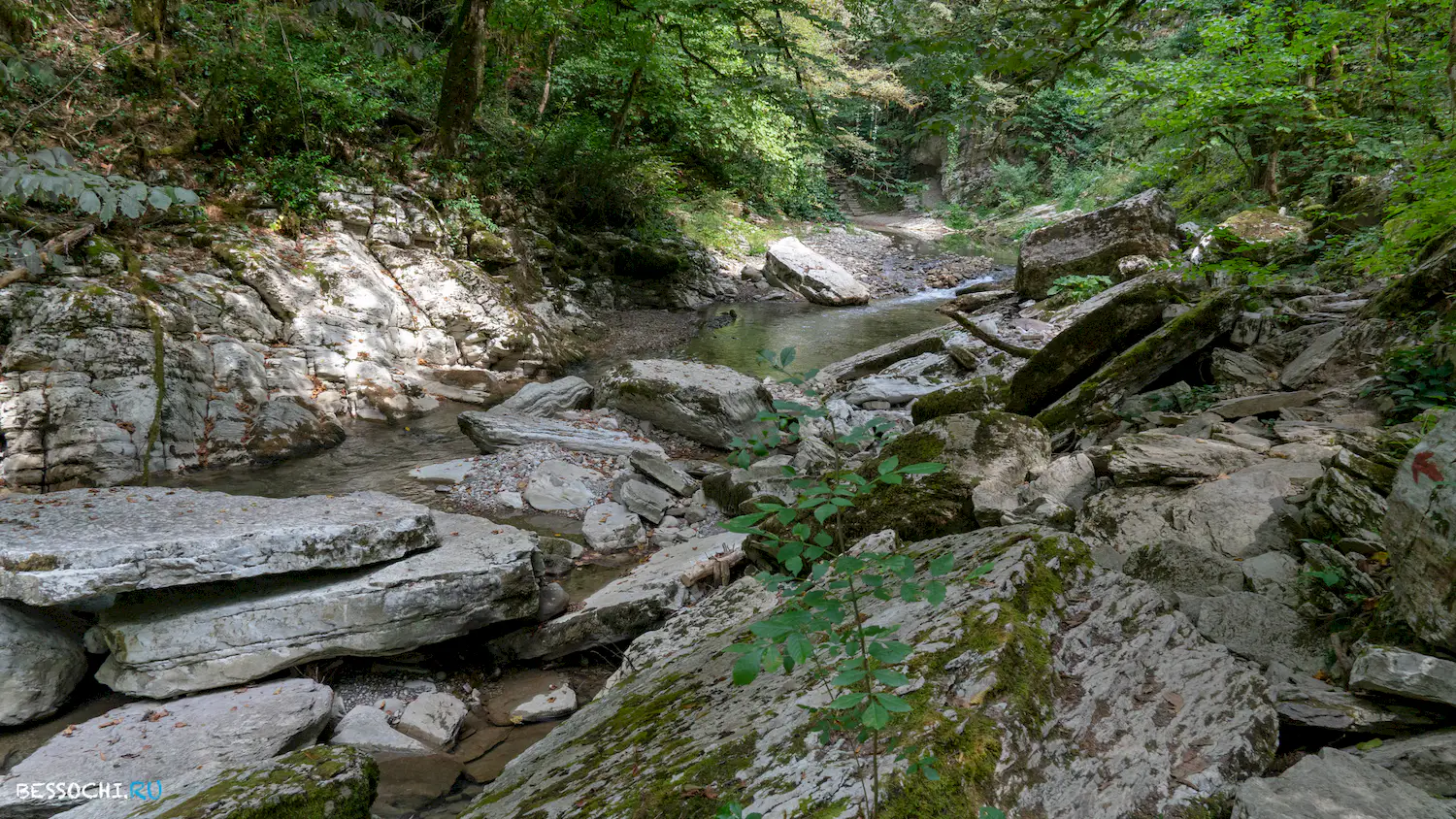 Навалищенский каньон