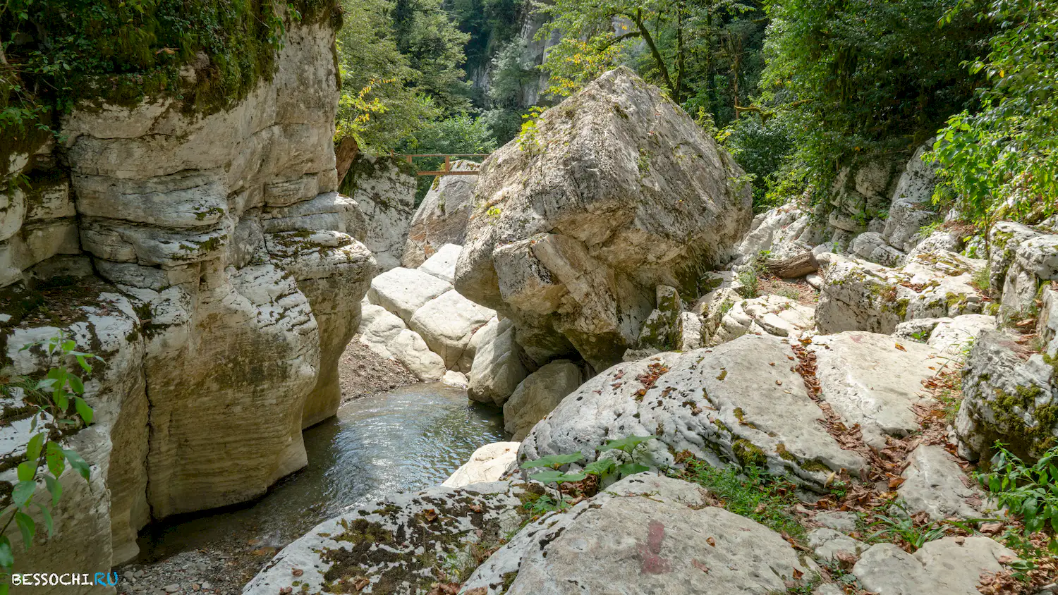 Навалищенский каньон