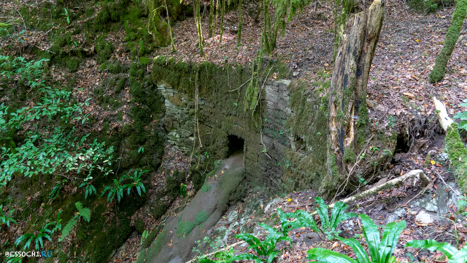 Мосты в Красной воле