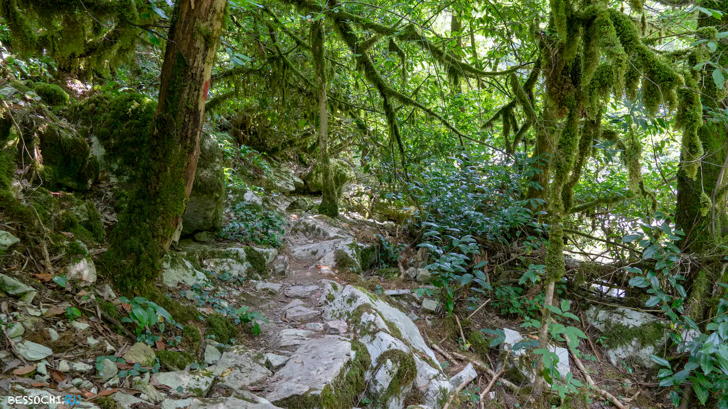 Навалищенский каньон