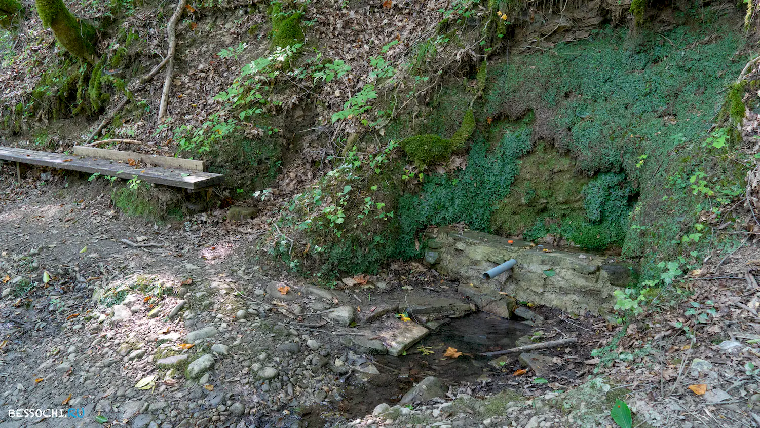 Мосты в Красной воле