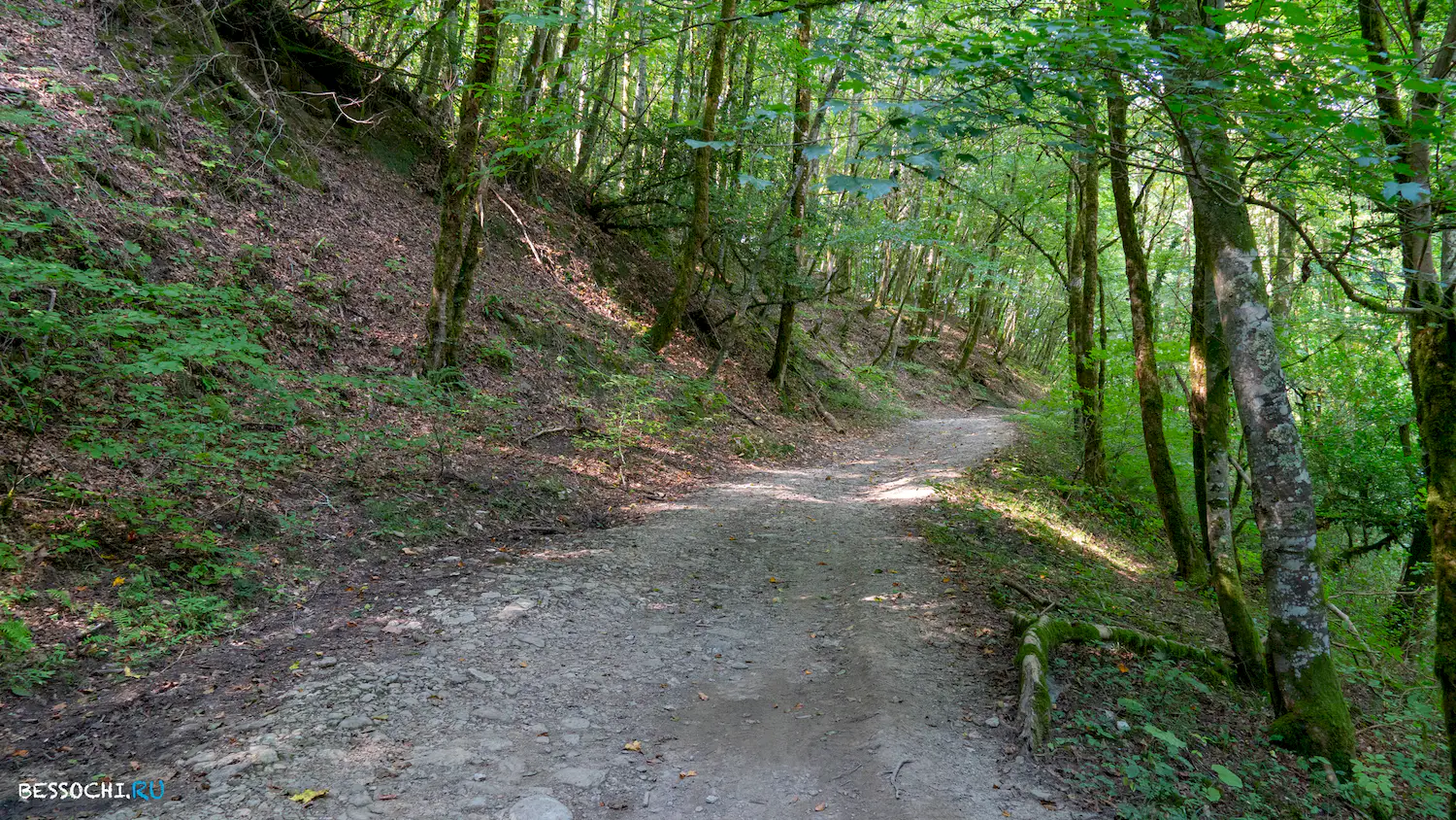 Мосты в Красной воле