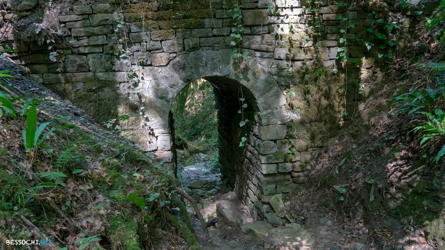 Мосты в Красной воле