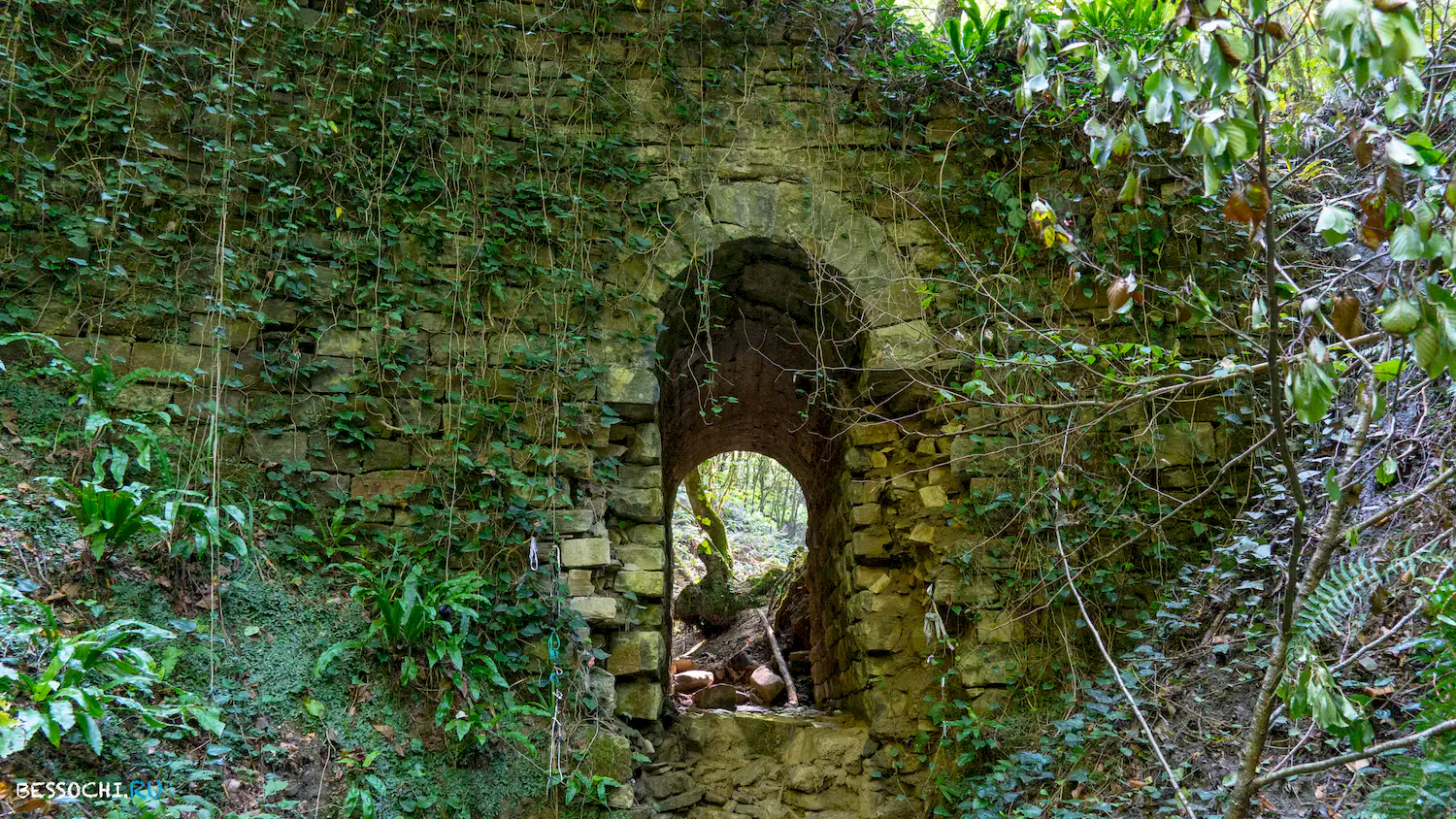 Мосты в Красной воле