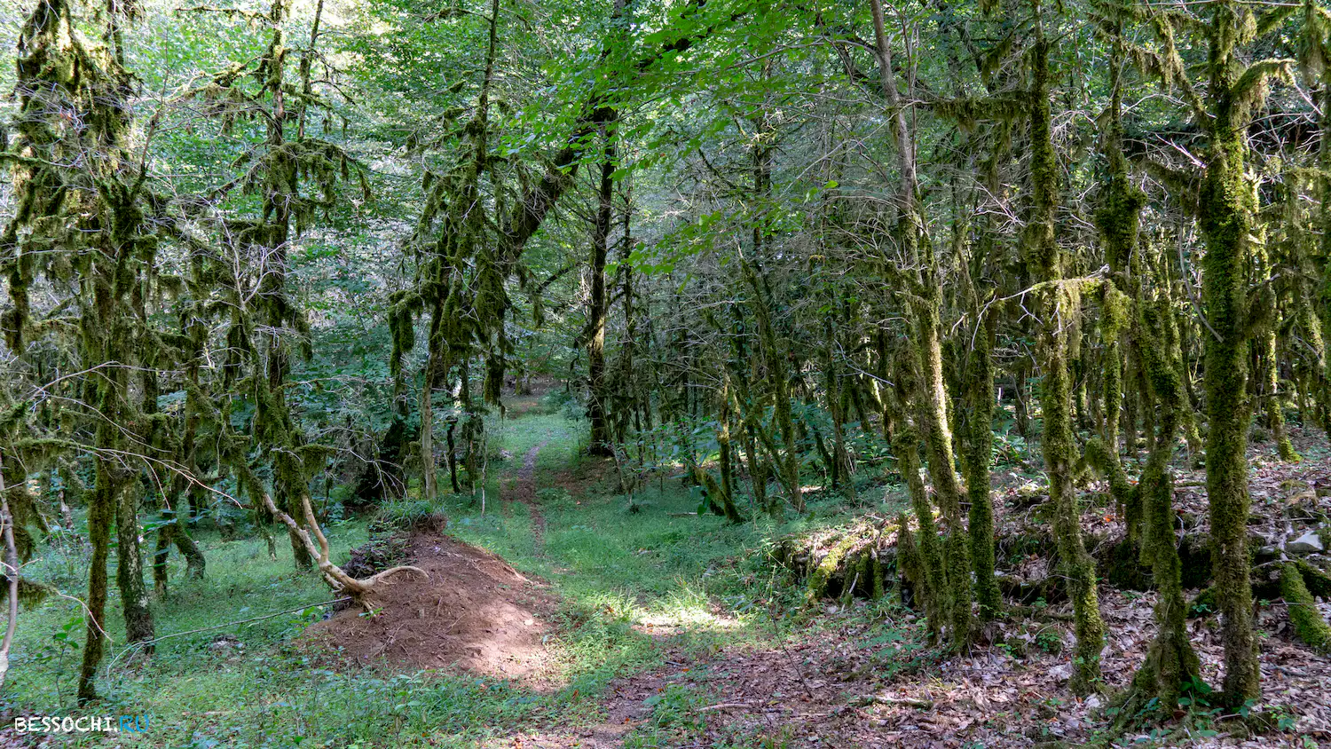 Каньоны Псахо