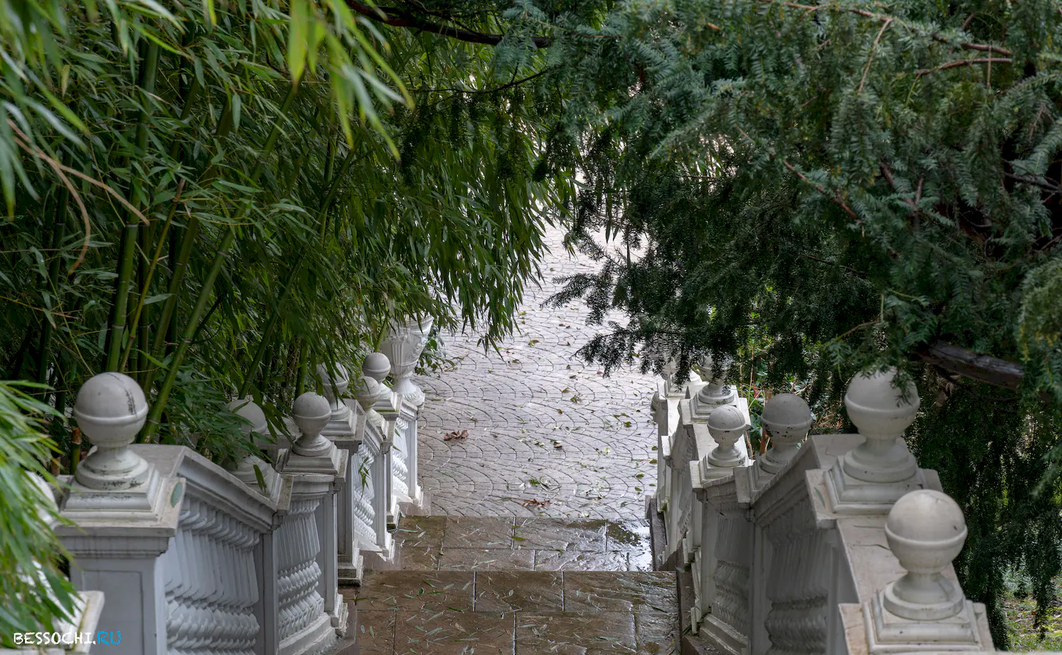 парк Южные культуры