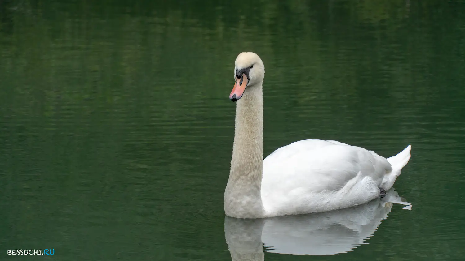 парк Южные культуры