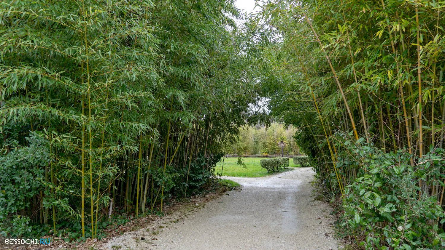 парк Южные культуры