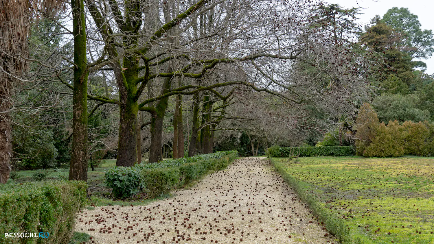 парк Южные культуры