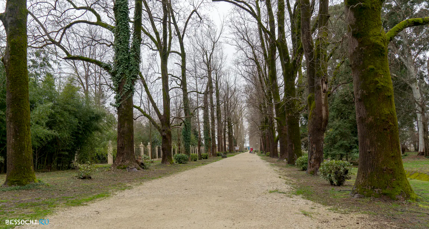 парк Южные культуры