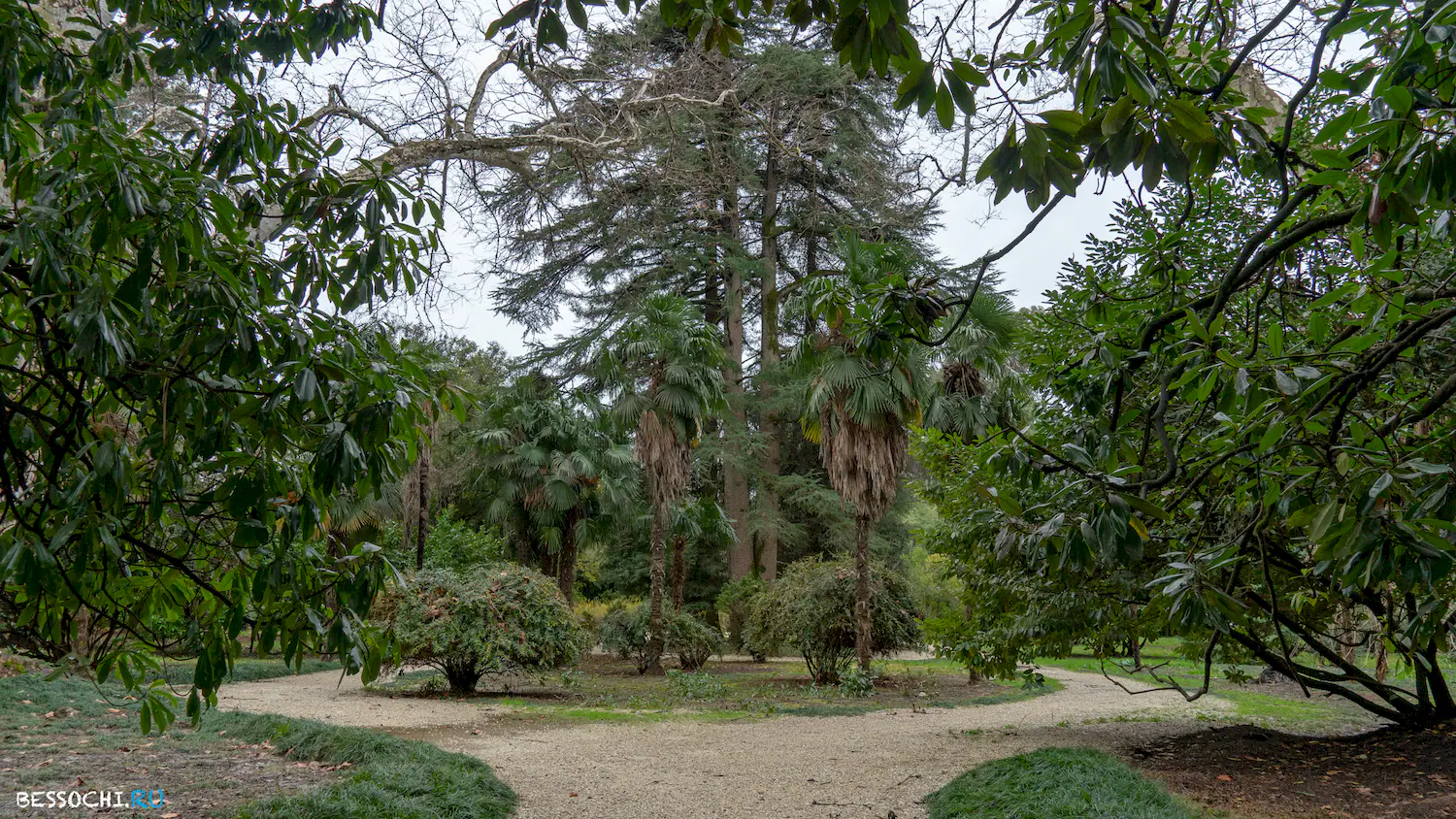 парк Южные культуры