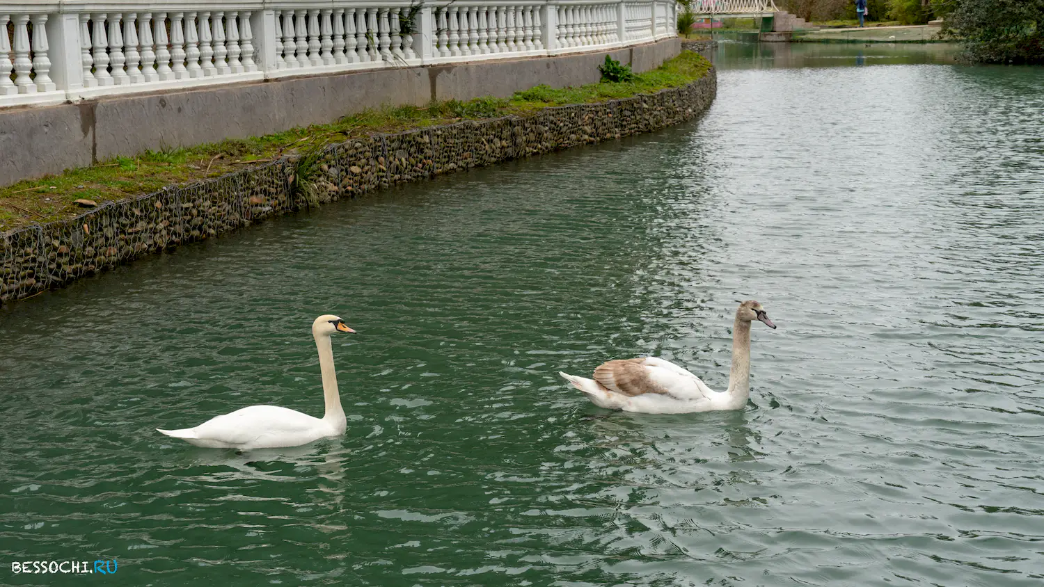 парк Южные культуры