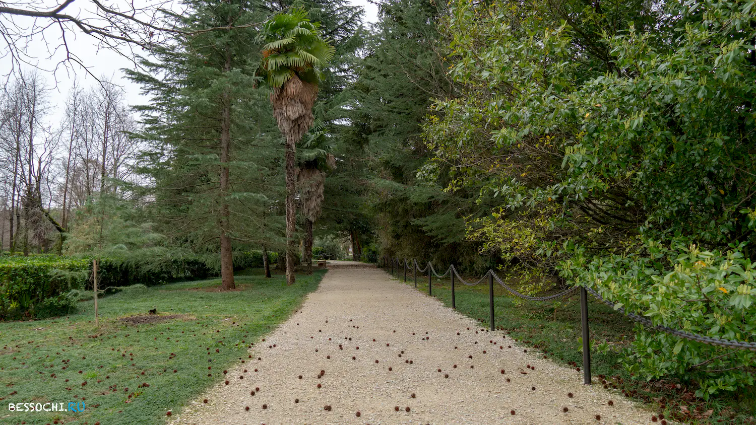 парк Южные культуры