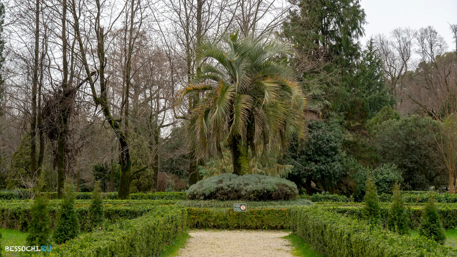 парк Южные культуры